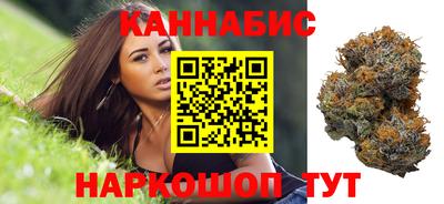 сатива Новодвинск
