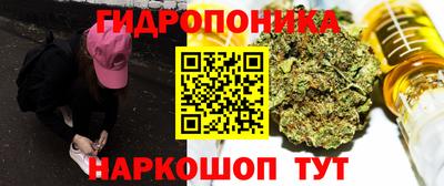 сатива Новодвинск
