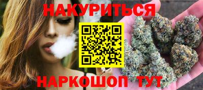 сатива Новодвинск