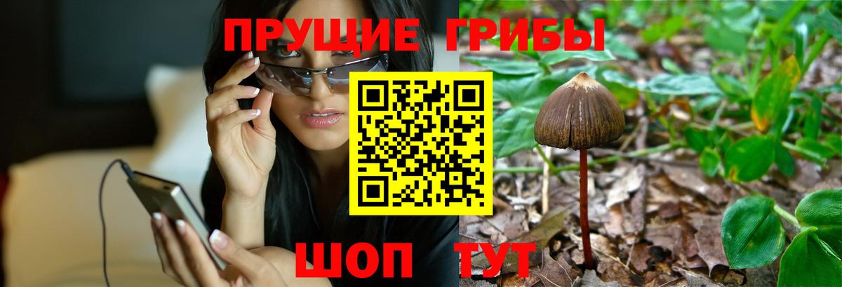 Галлюциногенные грибы ЛСД Саяногорск