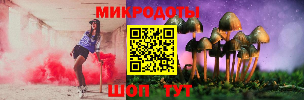 Саяногорск  Псилоцибиновые грибы Psilocybine cubensis  Вход с VPN 